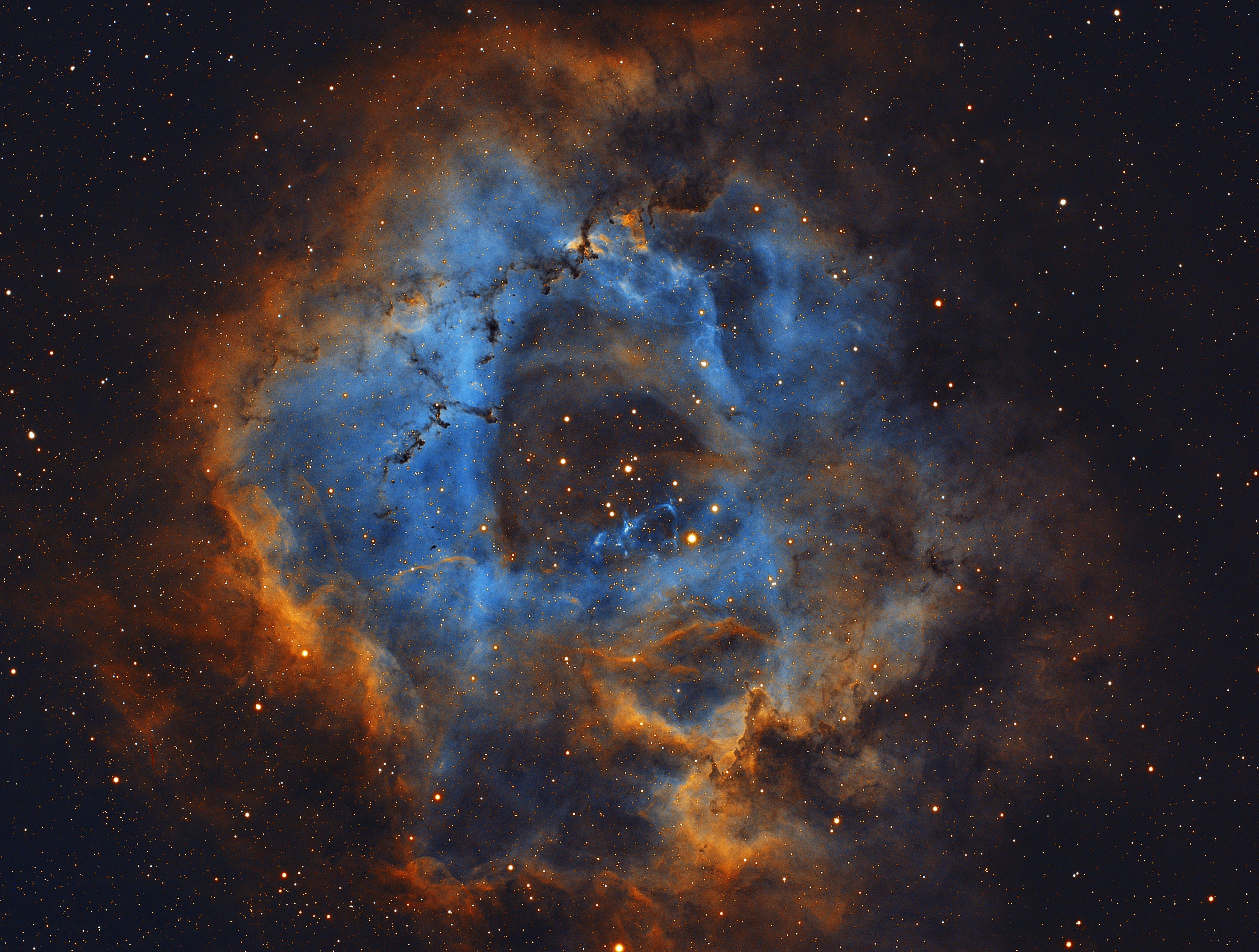 Rosette Nebula